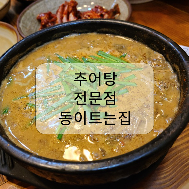 동이트는집 이미지