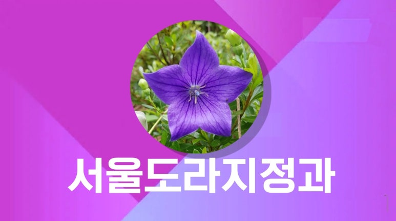 김보경외식연구소 이미지