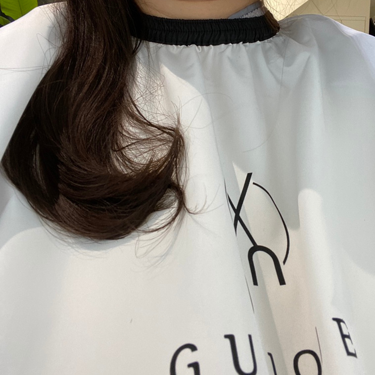 건니크 이미지