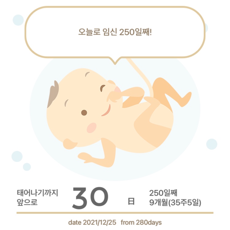최권수베이커리 이미지
