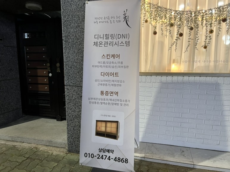 디니힐링시스템 이미지