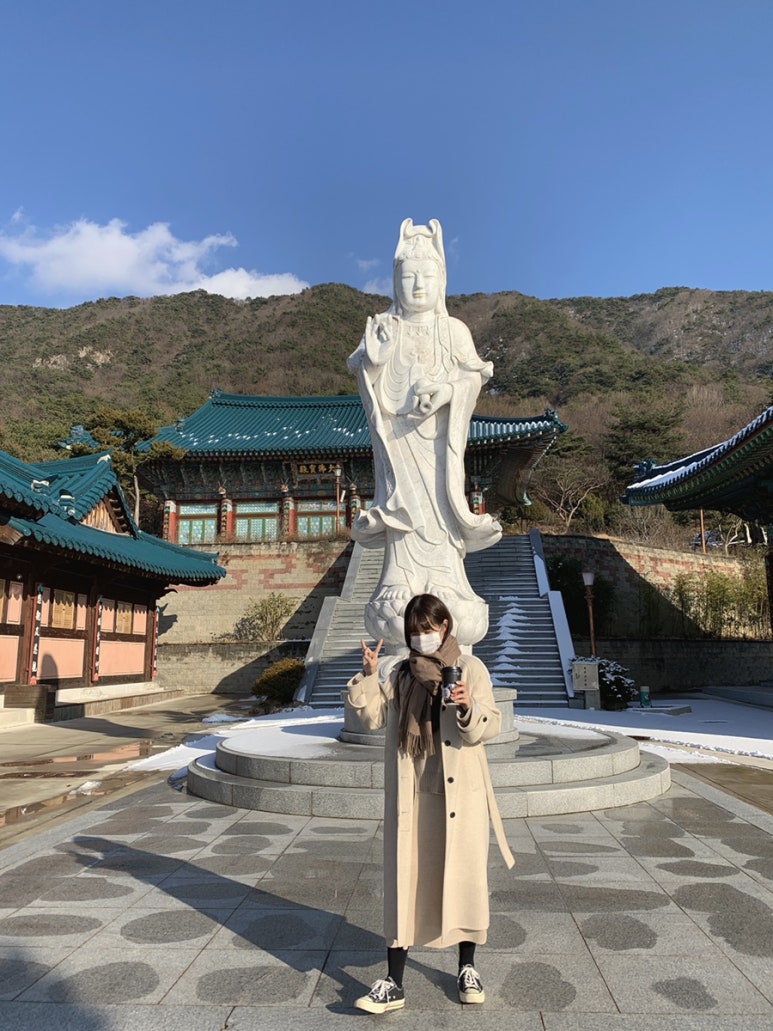 톤키톤키 이미지
