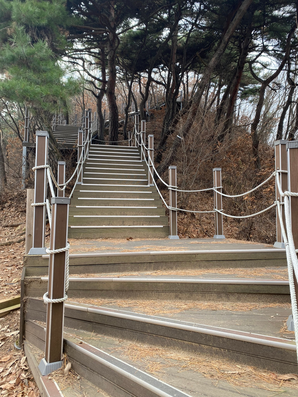 고성산 정상 전망대 이미지