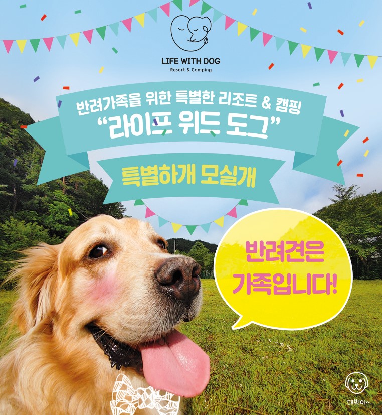 라이프위드도그 이미지