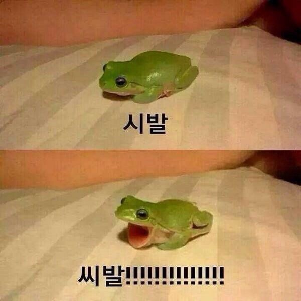 페난 이미지