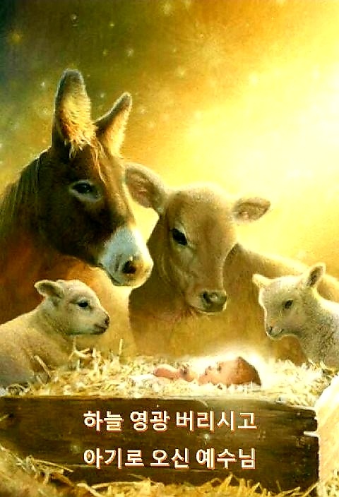 CHIARA끼아라 이미지