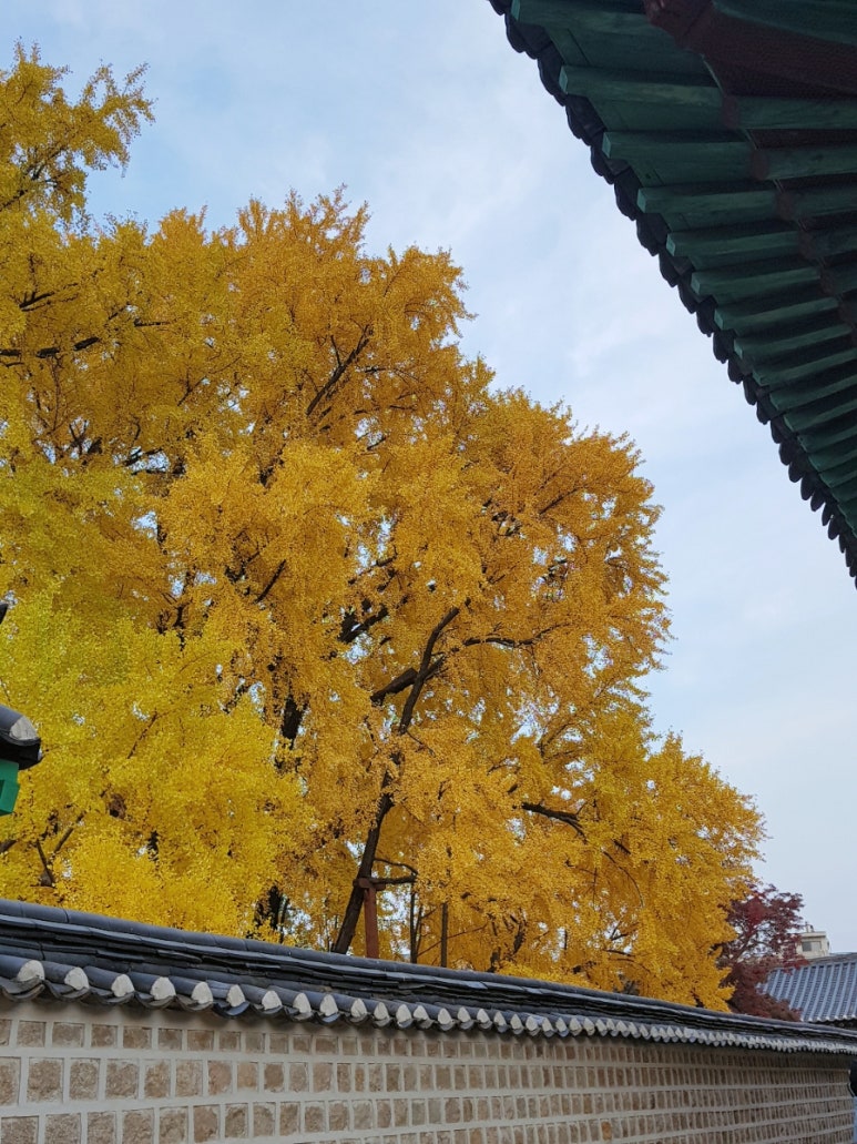 삼다통신 이미지