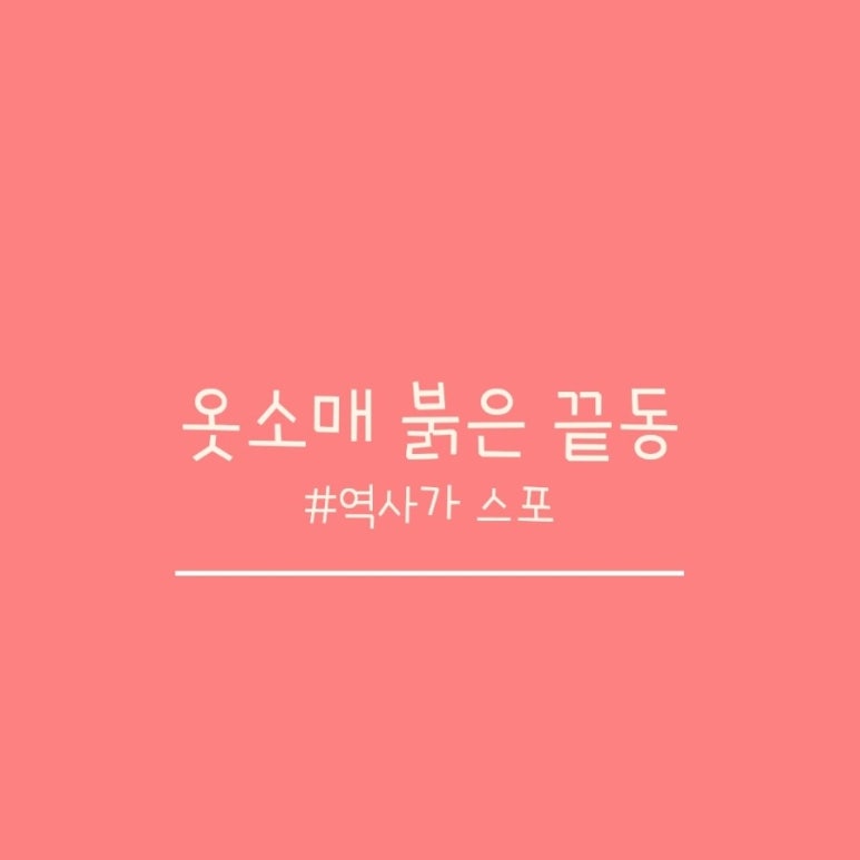 지식나무 이미지