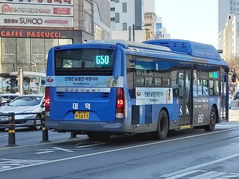 2.28기념 중앙공원 이미지