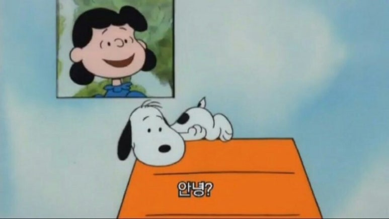 블랙베어 이미지