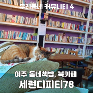 세런디피티78 이미지