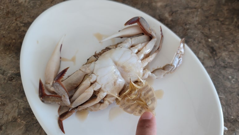현진푸드 이미지