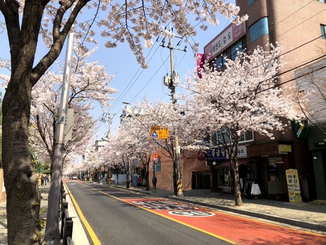 대청기획 이미지