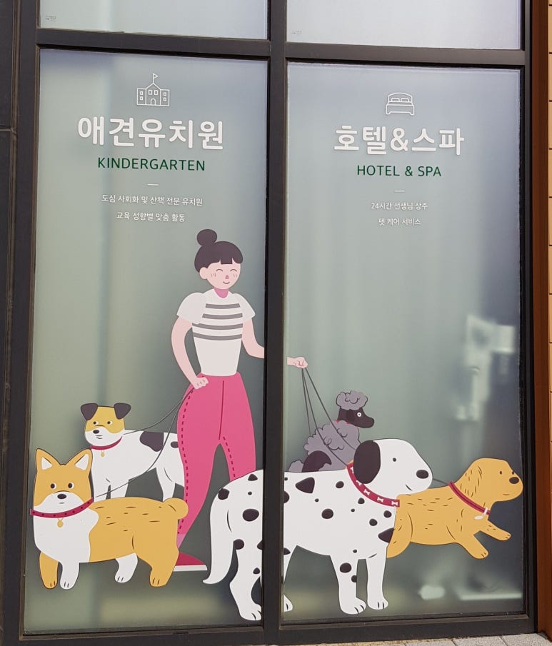 독스힐 이미지