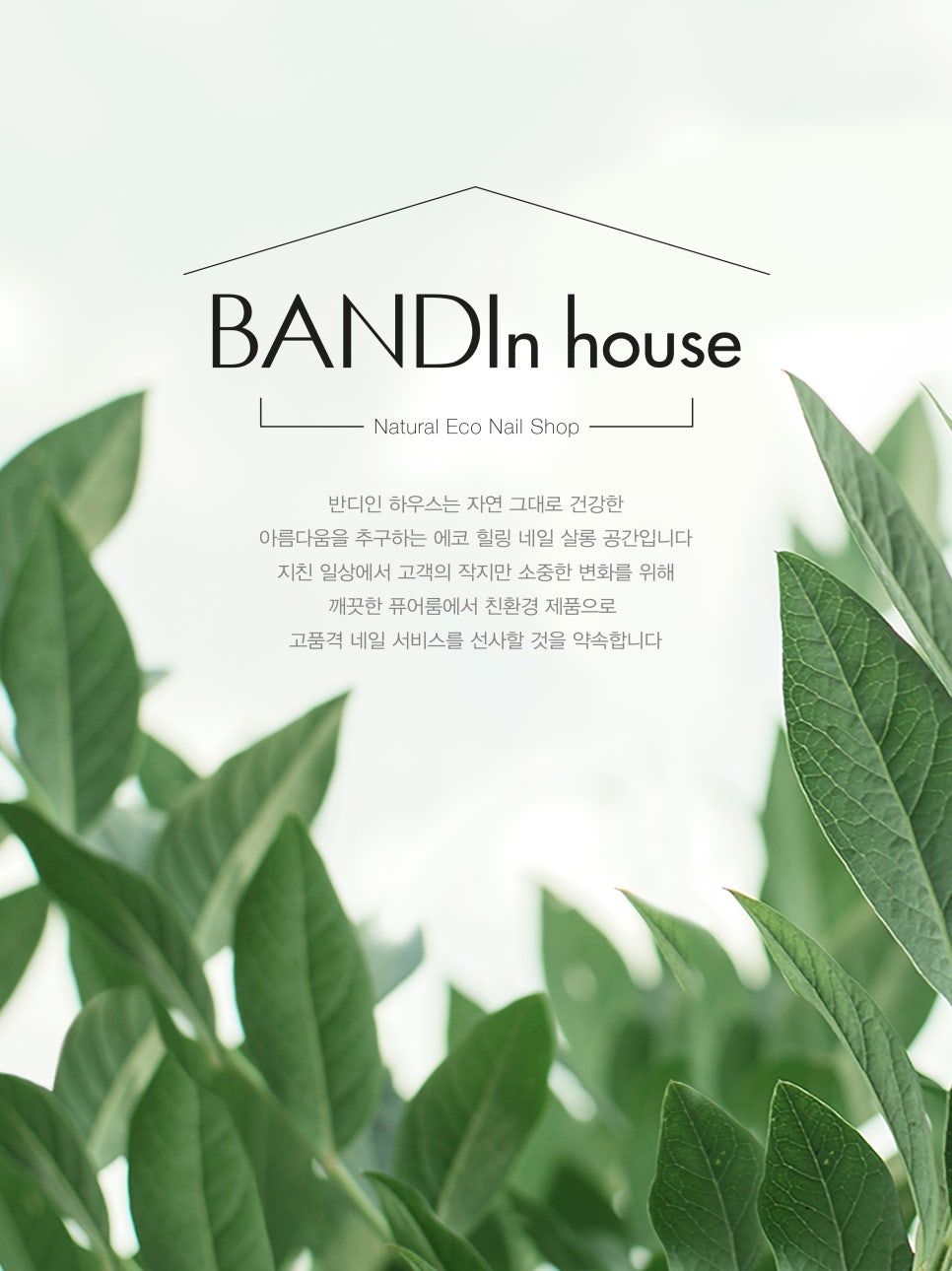 반디시스템 이미지