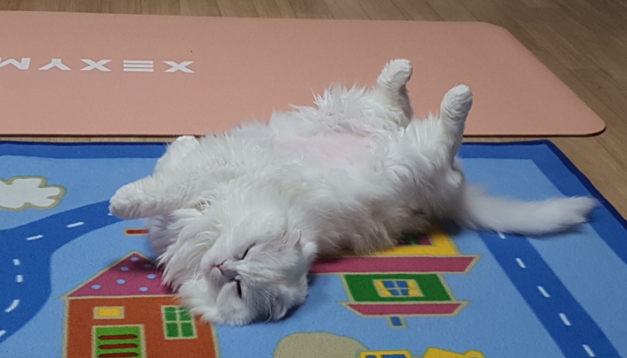 더하얀세상 이미지