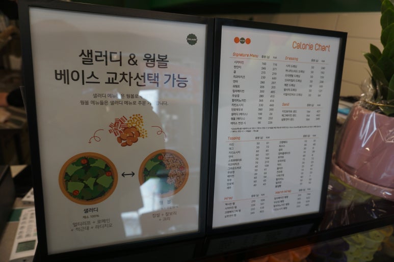 샐러디구미 이미지