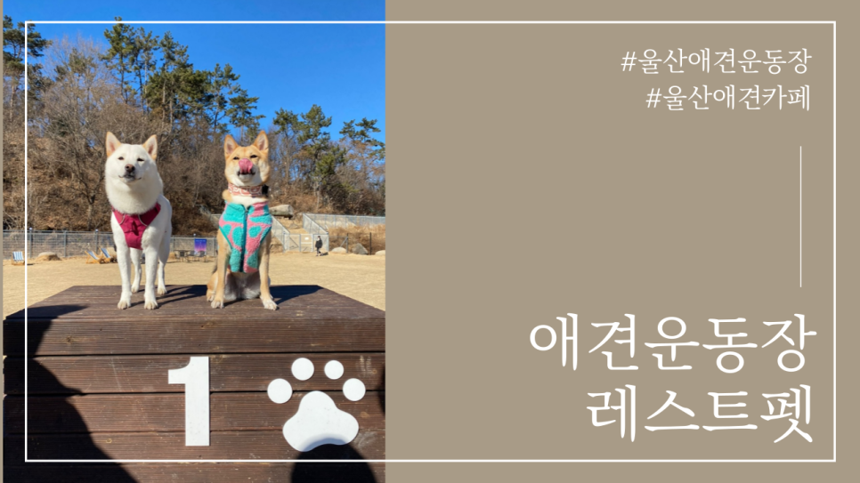 레스트펫 이미지