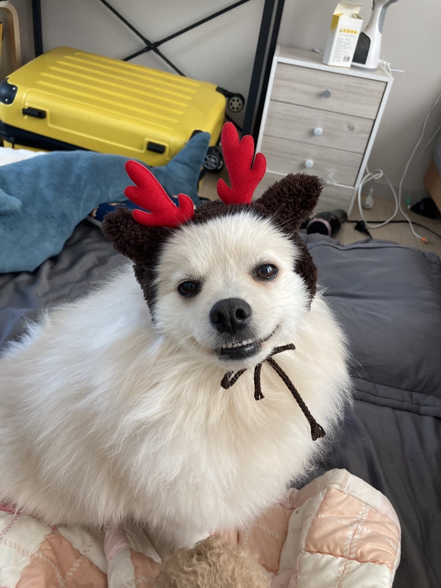 월드치킨 이미지