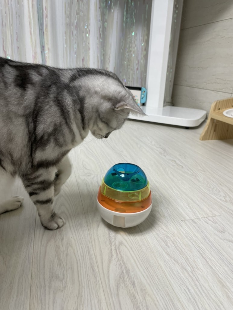 오뚝이푸드 이미지
