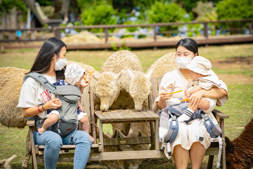 동산농장 이미지
