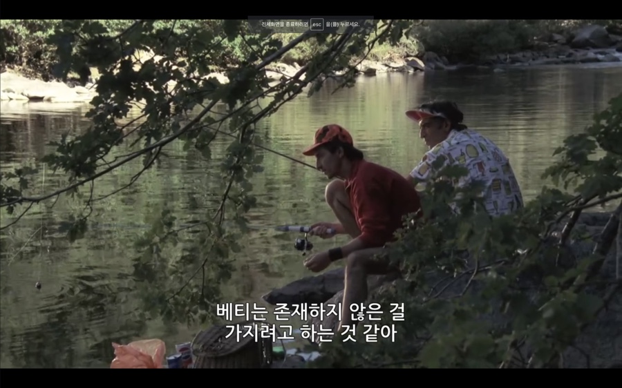 베티헤어 이미지
