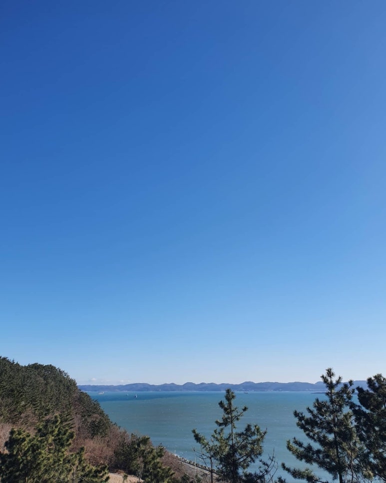 요거프레소경주 이미지