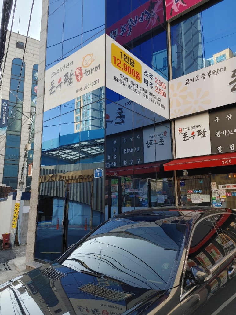 돈우팜 이미지