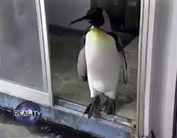 매일수산 이미지