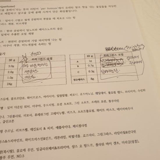 도드로드 이미지