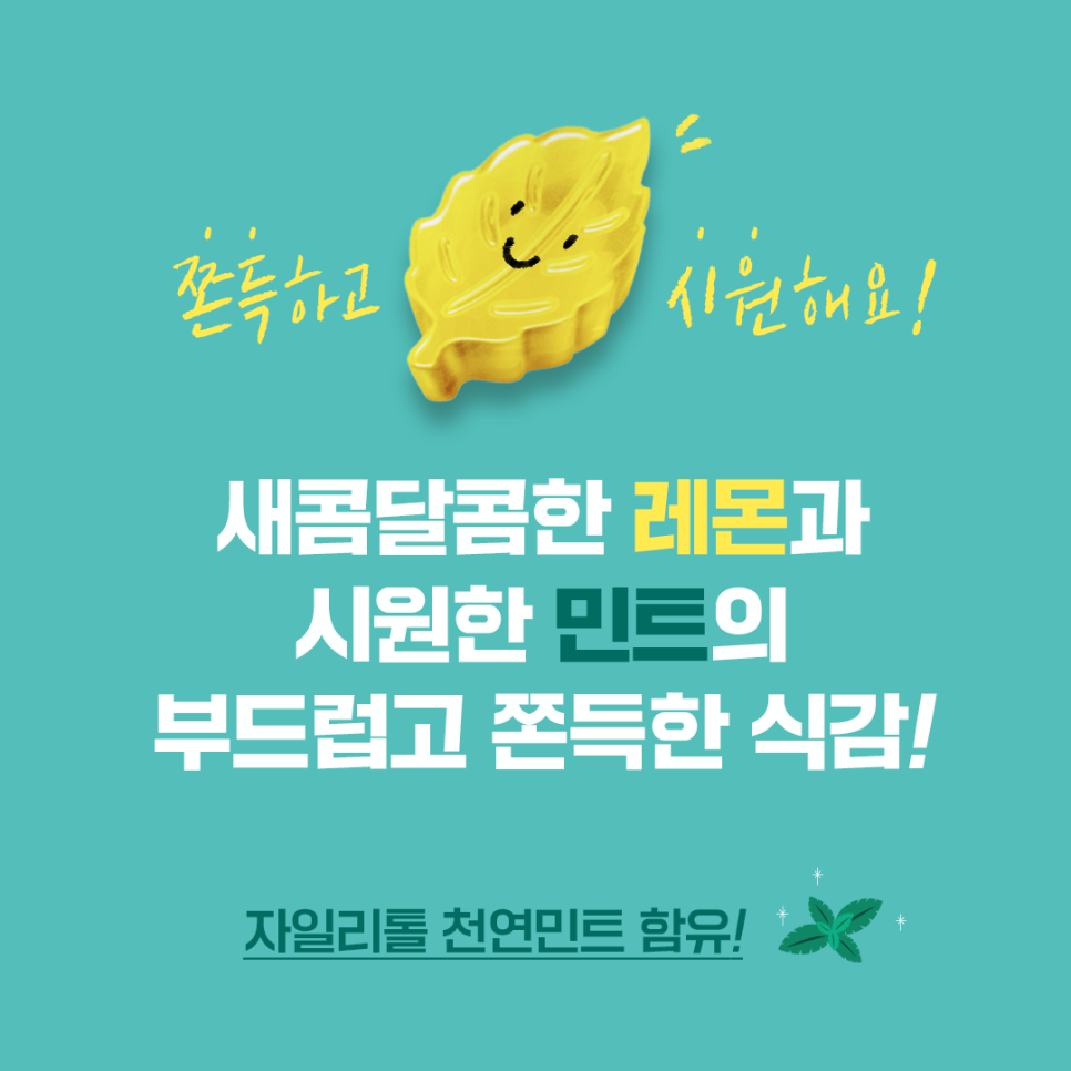 민트젤리 이미지