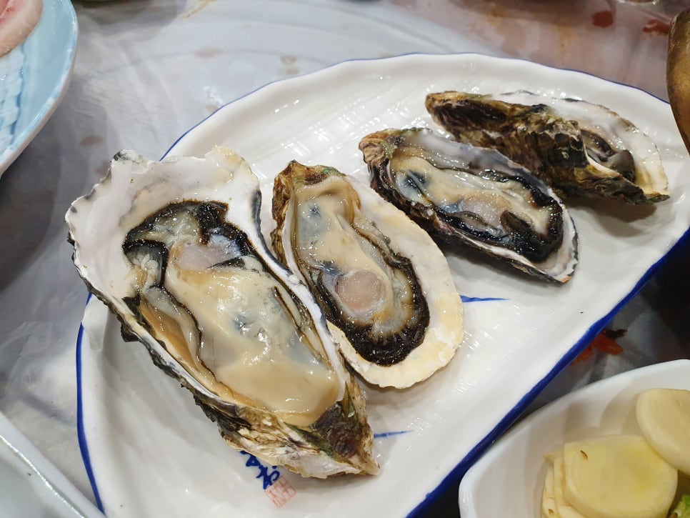 바다회119 이미지