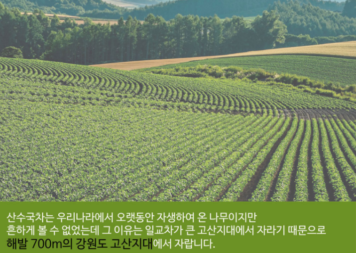 유정농원 이미지
