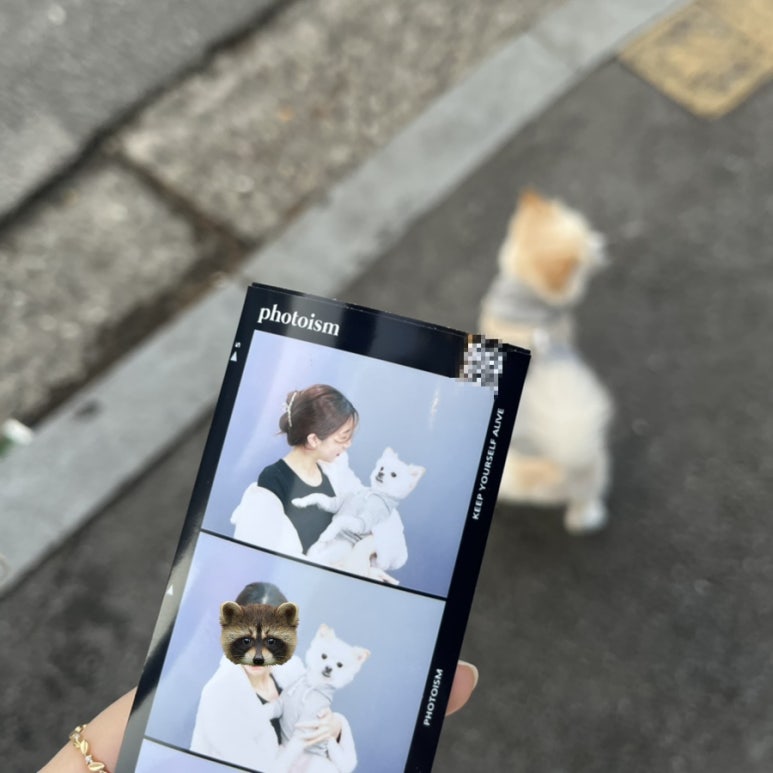 포토이즘박스원주단계점 이미지