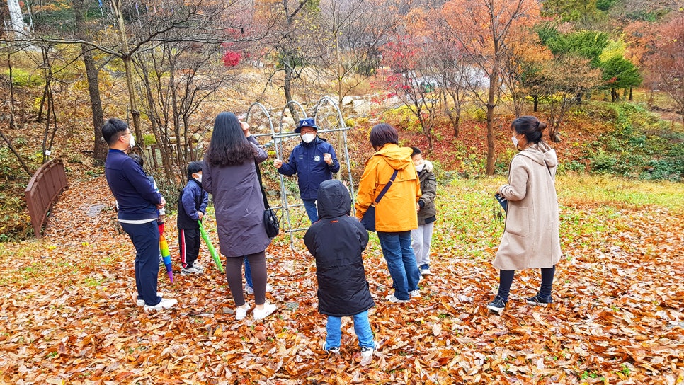 국립회문산자연휴양림 이미지