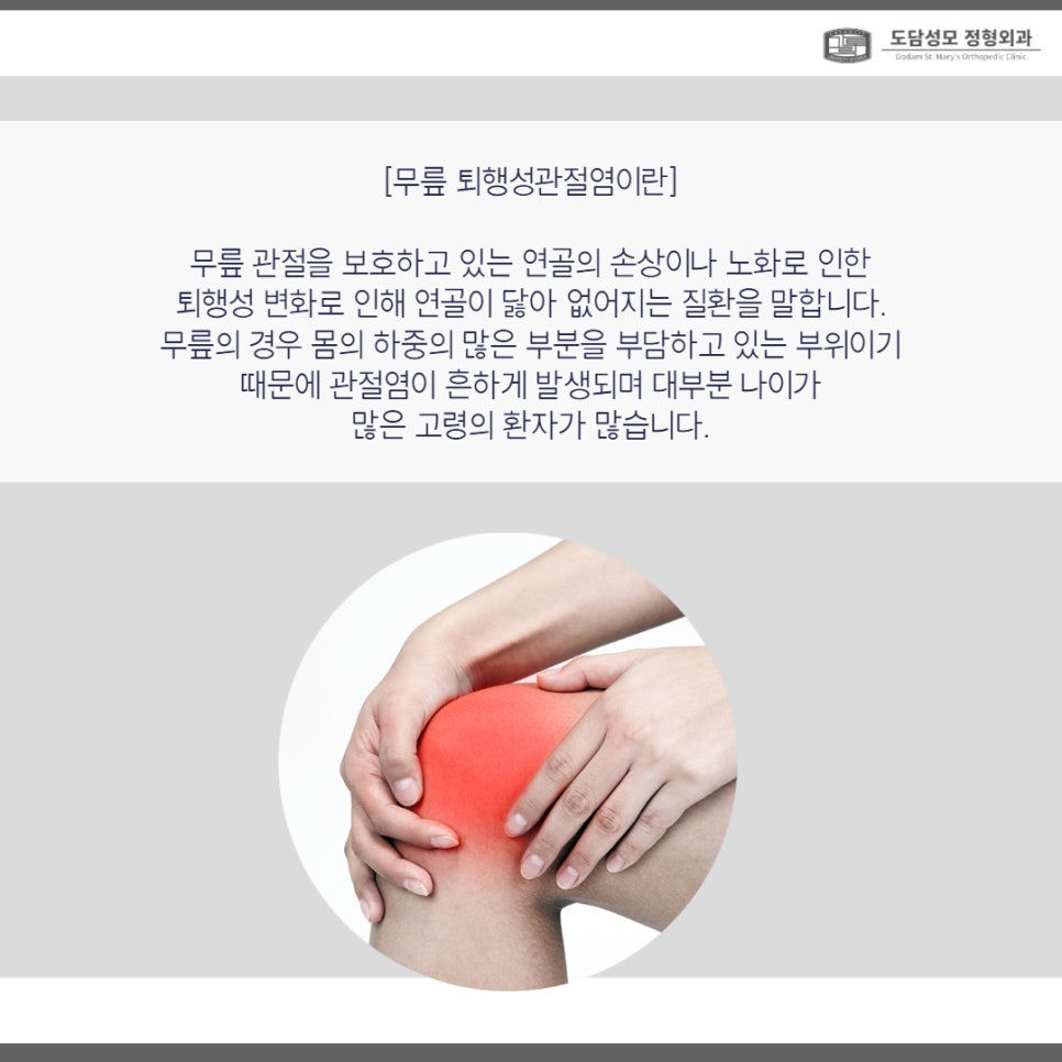 도담성모정형외과 이미지