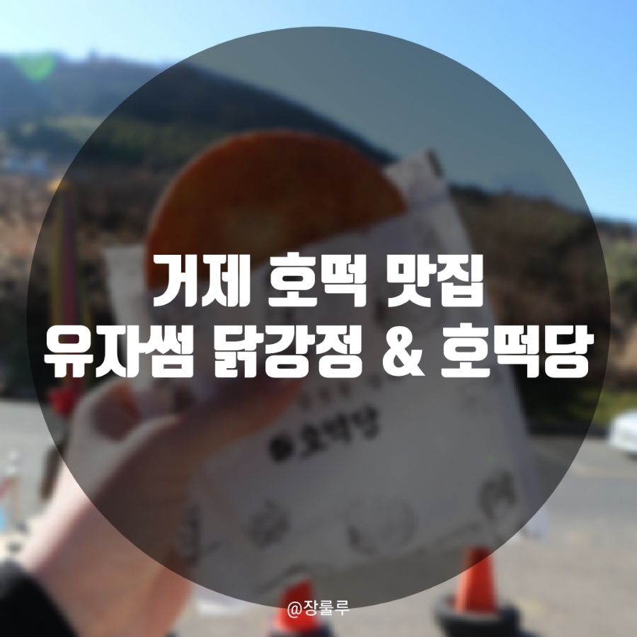 유자썸 이미지