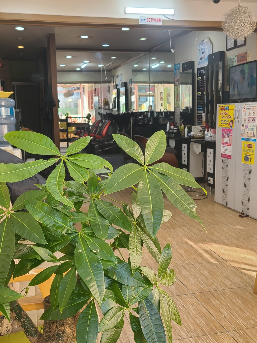 희진헤어샵 이미지