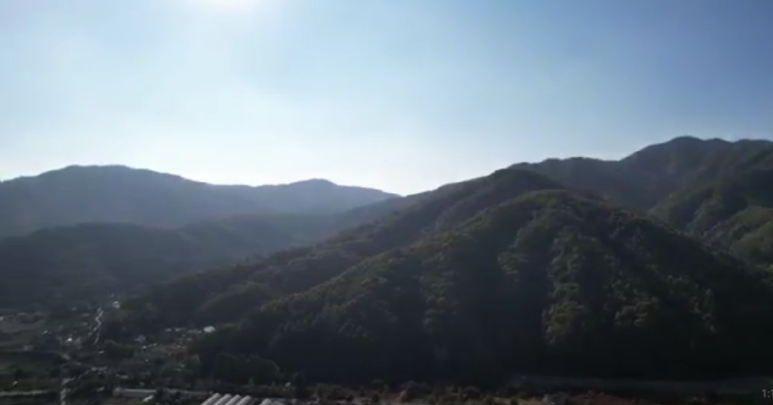 포안 이미지