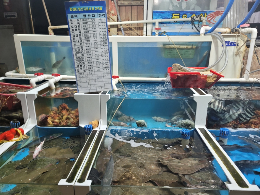 동우수산 이미지