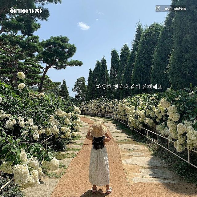 강화도레도레 이미지