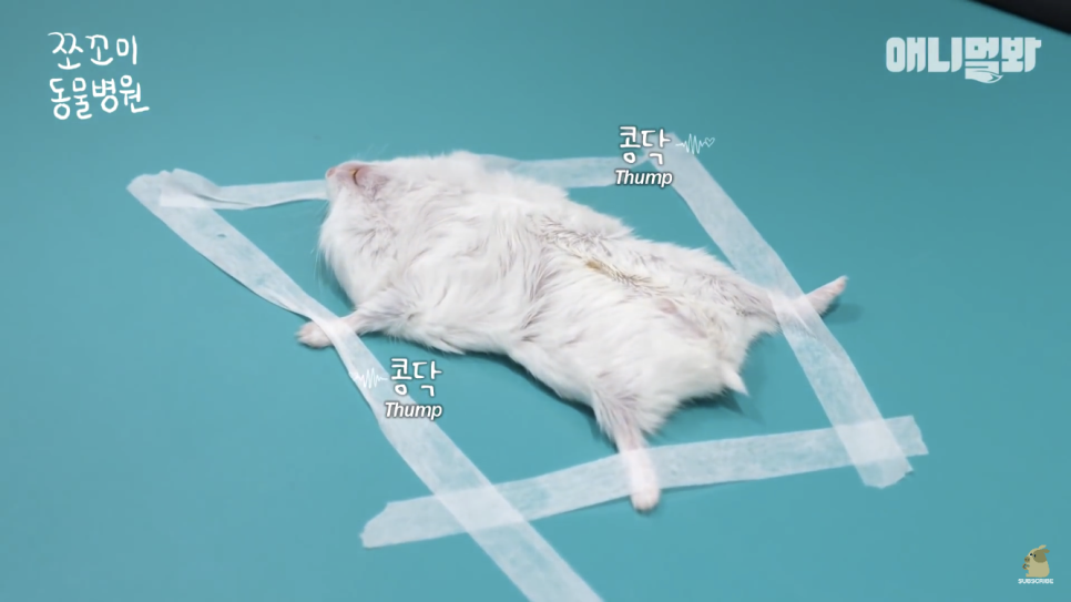 실버정은 이미지