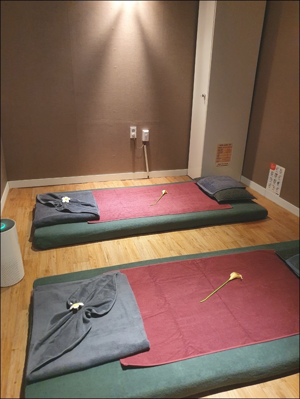 카시아타이용인 이미지