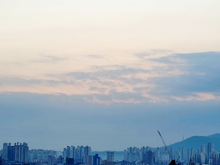 팔용고기 이미지