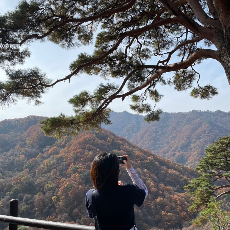 와운통나무산장가든 이미지