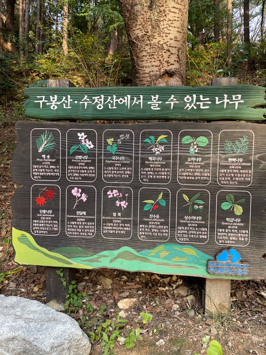 인셀덤쎈터점 이미지