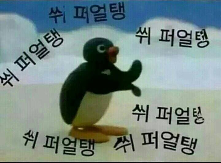 슈발 이미지