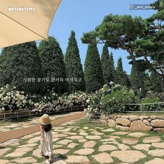 강화도레도레 이미지