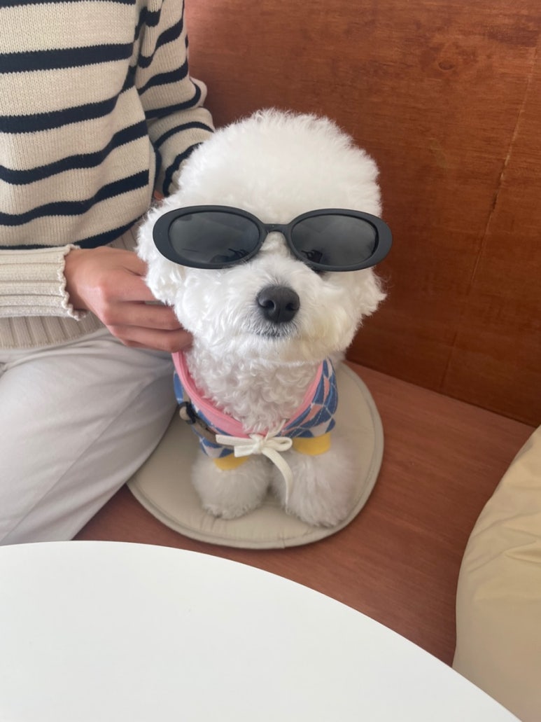 이브카페 이미지