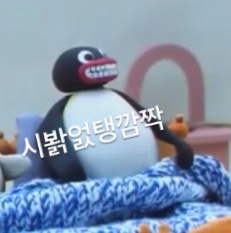 슈발 이미지